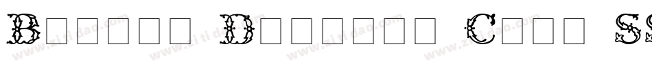 Bronte Display Caps SSi字体转换